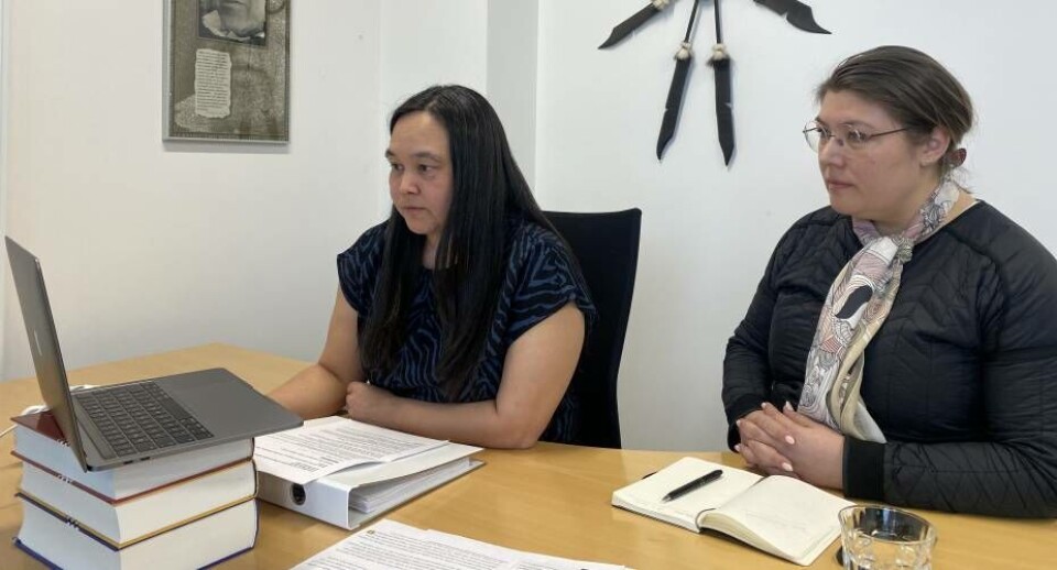 Grønlandsk råd har talt for FN