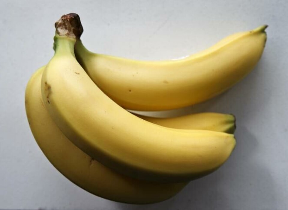 Pilersuisoq har valgt at fjerne bananer