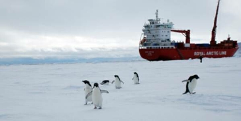 Mary Arctica ungasissorujussuarmiippoq