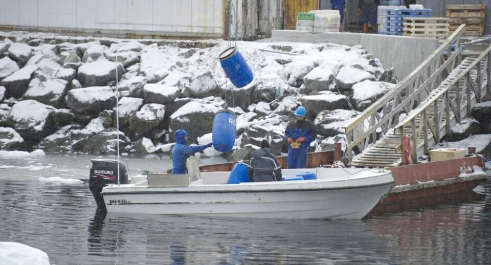 Mange fiskere ude på kysten kan blive ramt efter Naalakkersuisuts tildeling af ekstra kvoter på stenbiderrogn til områderne Maniitsoq og Nuuk