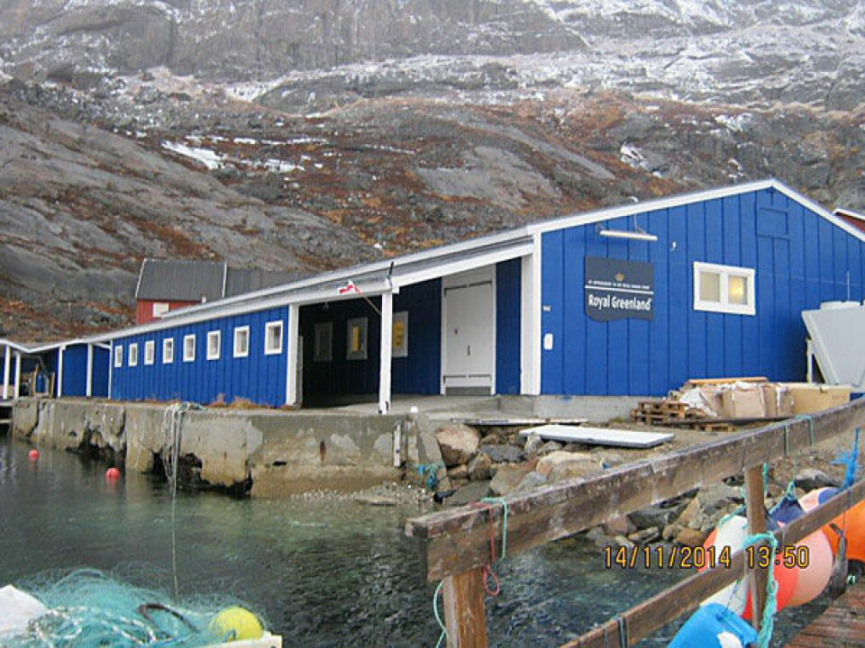 Anlæg skaber flere Royal Greenland-job Royal Greenland, indhandlingsanlæg, Aappilattoq