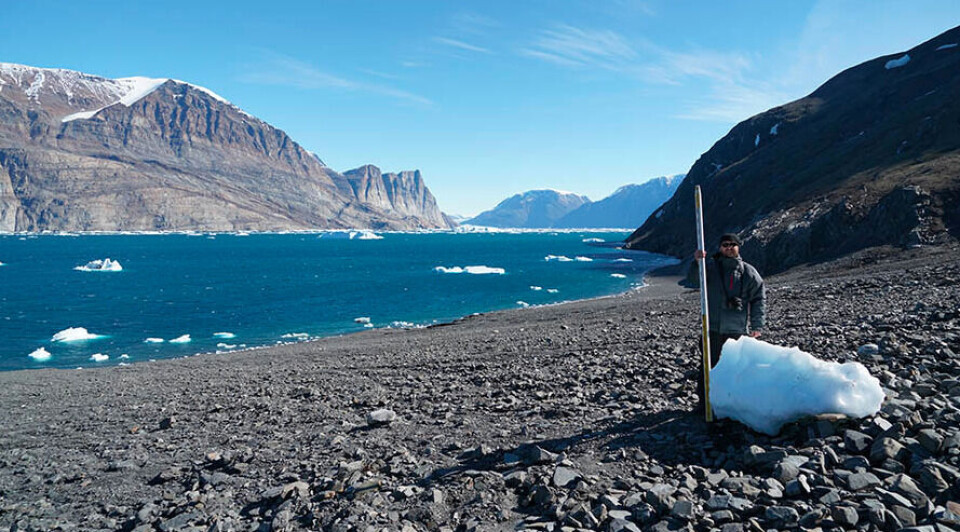 Thomas Giachetti fra University of Oregon står ved en klump isbjerg, der blev skyllet op på land efter tsunamien. Klumpernes placering dokumenterer hvor højt tsunamien har været det pågældende sted.