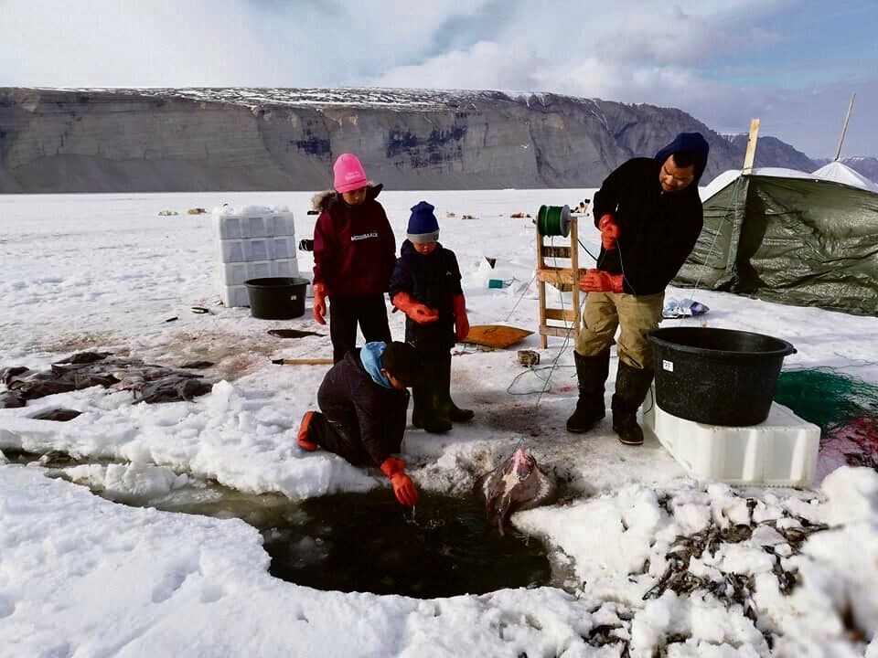 Hele familien hjælpes ad med fiskeriet, og de sover tit på telt på isen, mens fiskeriet står på. Kiloprisen for hellefisk i fiskefabrikken ligger på 16,50 kroner. Indtil udgangen af maj tjente familien omkring 15.000 kroner fra fiskeriet.