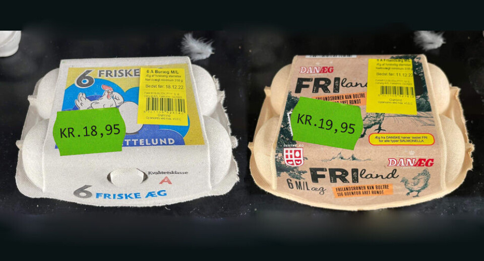 Det bliver én krone dyrere at købe seks frilandsæg i forhold til prisen på de buræg som udfases nu.