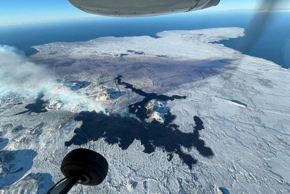 Vulkanudbruddet på Reykjanes-halvøen, der begyndte torsdag morgen, var ventet.