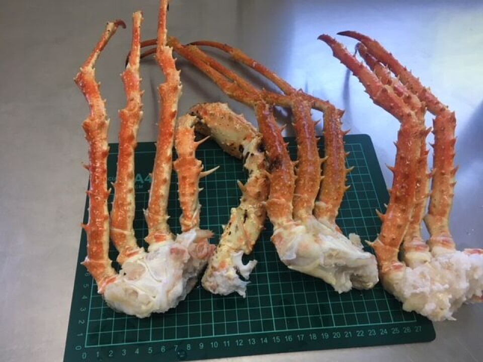 Der var slet ikke de mængder af de piggede troldkrabber, som man havde håbet på.