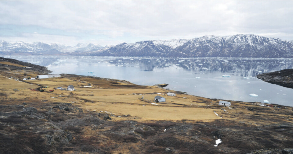 Ipiutaq farmen ligger ca. 40 minutters sejlads fra Qassiarsuk nær Narsarsuaq lufthavn. Det hvide hus yderst til højre er opkøbt af efterforskningsselskabet Jean Boulle Group.