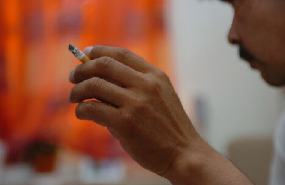 Røgslør og politisk kamp i Siumut: Skal rygeforbuddet skrottes?