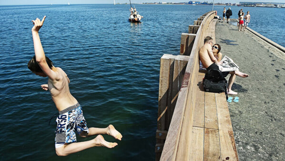 Foto fra Svanemøllen i juni. Foto: Jens Dige/POLFOTO