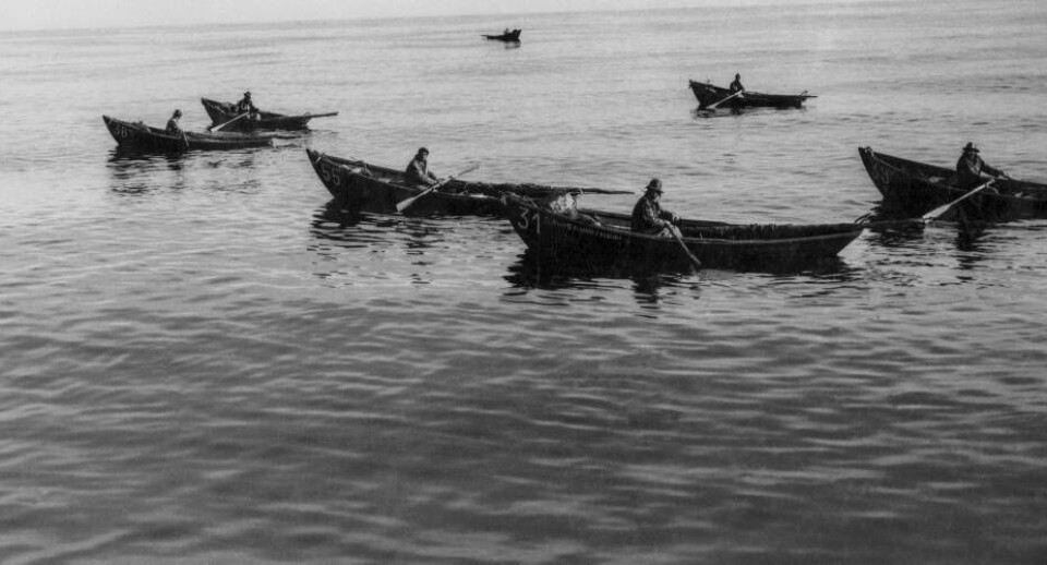 Portugiserne fiskede med dorier – små joller som hver dag blev søsat fra moderskibe.