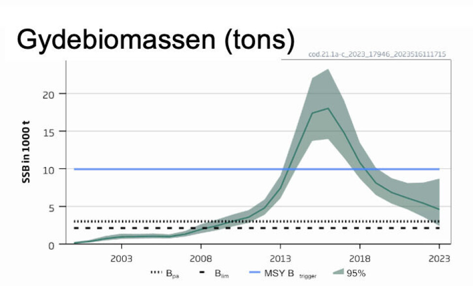 Grafen viser udviklingen i gydebiomassen, som er faldet siden 2016, for bestanden Vest Grønland Indenskærs nordlig.