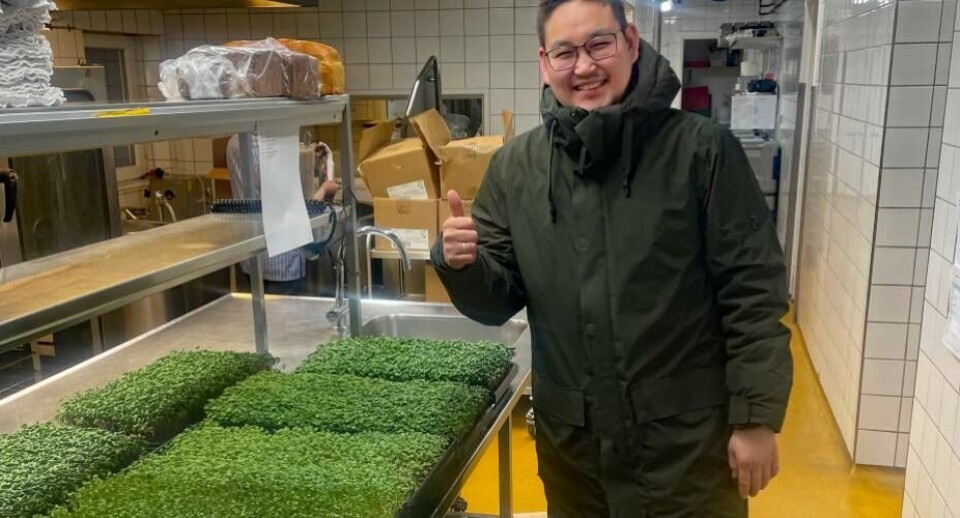 Iværksætteren Aqqa Lange leverer sammen med makkeren Palli Fleischer Lyberth i virksomhedenMicrogreens Sisimiut grønt til Hotel Sisimiut flere gange om ugen.