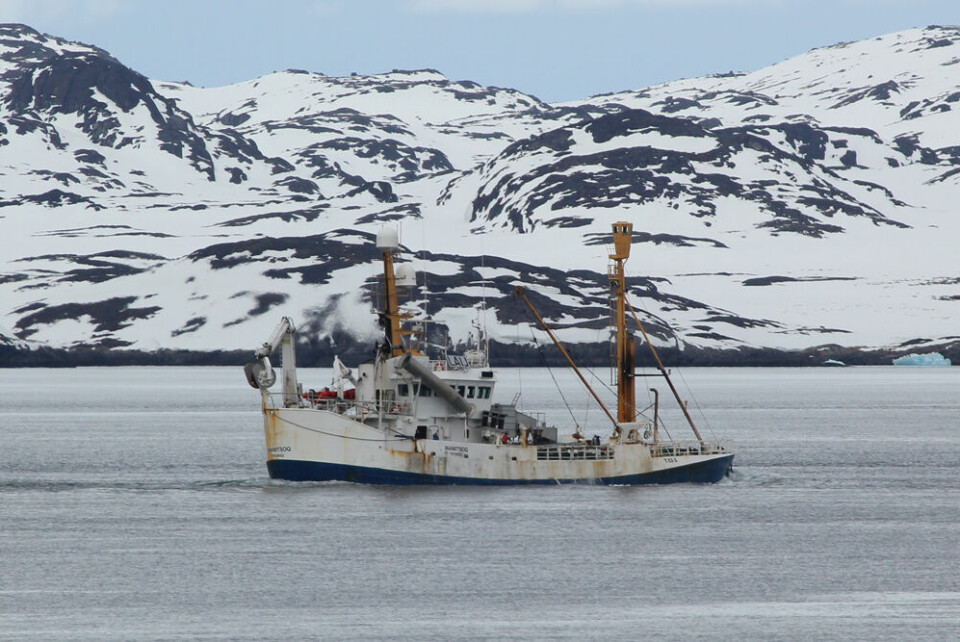 Brøndbåd, Maniitsoq, Royal Greenland