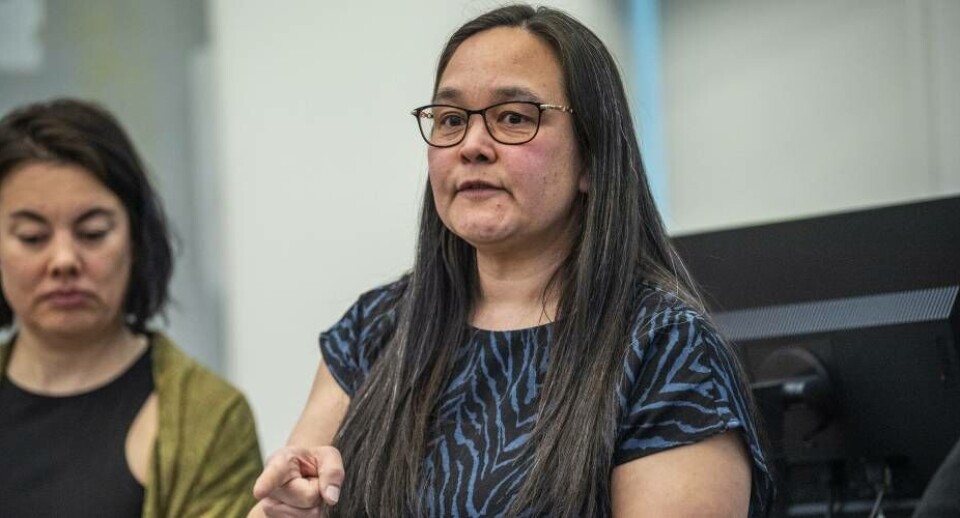 Ligestillingsrådets formand Kathrine Bødker vil gerne fremhæve begrebet ”lateral vold” som er kendetegnende for postkoloniale samfund med en oprindelig befolkning, som aboriginere i Australien eller inuit i Arktis.