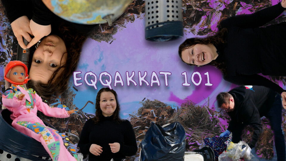 Nye videoer skal give skoleelever viden om affald og miljø