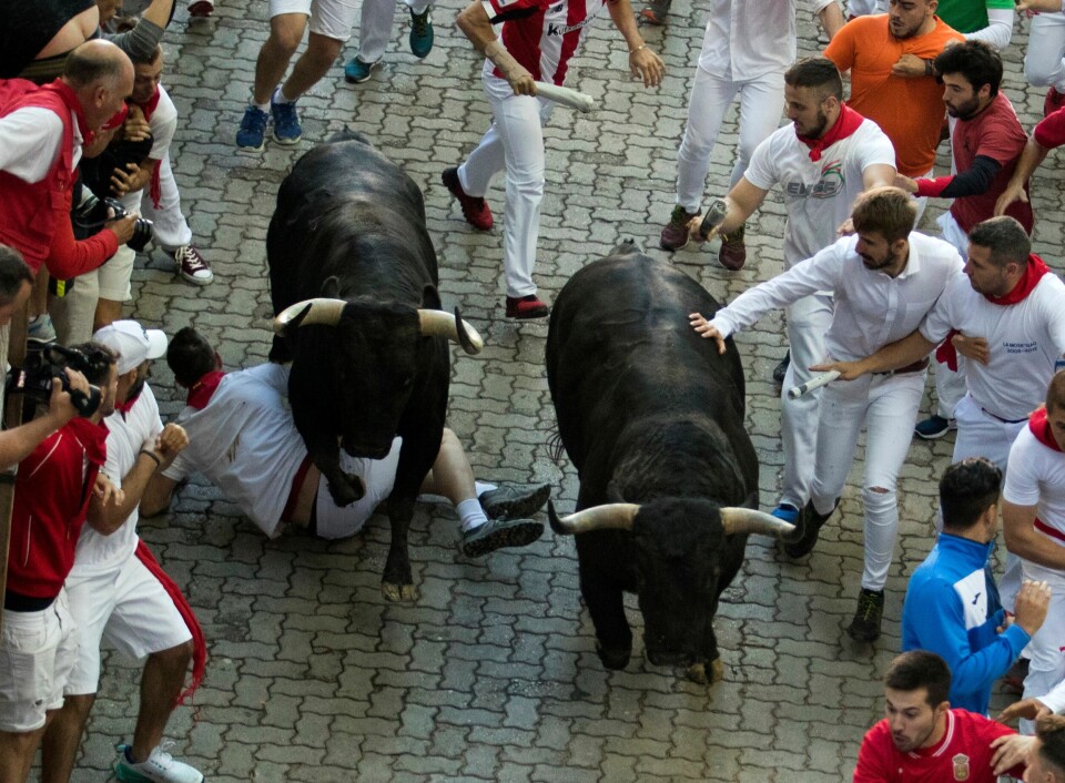 Vanvittige fotos: Tyreløb i Pamplona