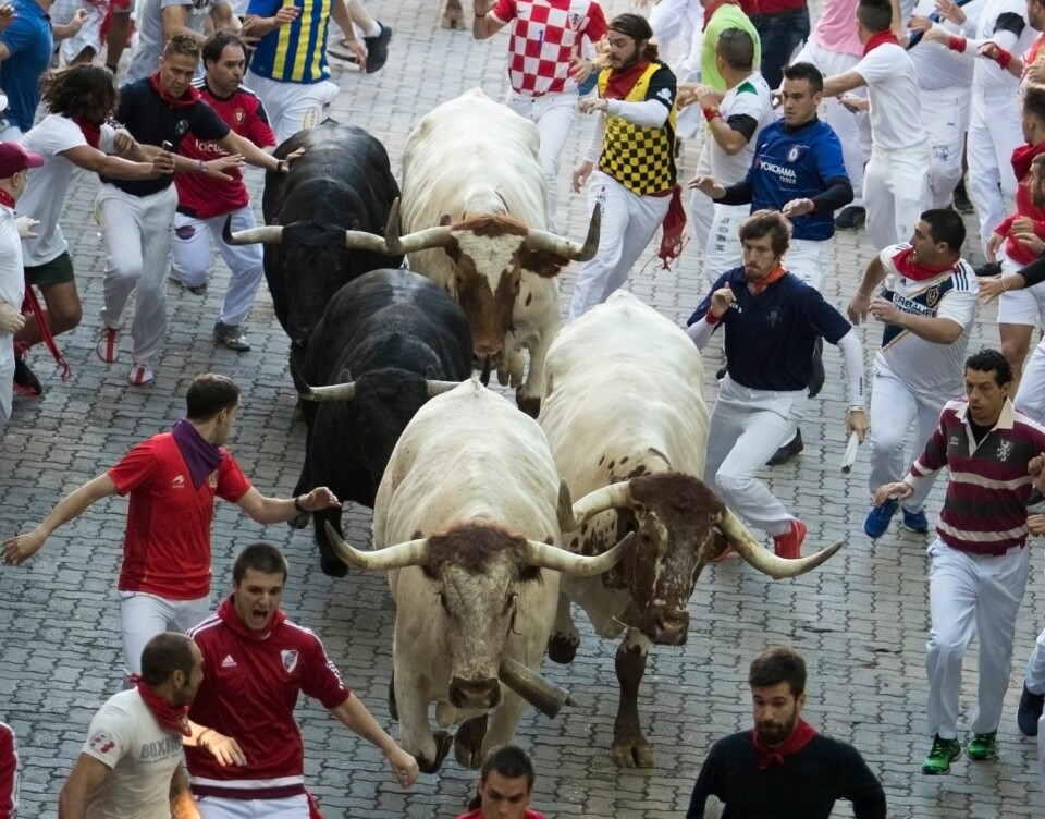 Vanvittige fotos: Tyreløb i Pamplona