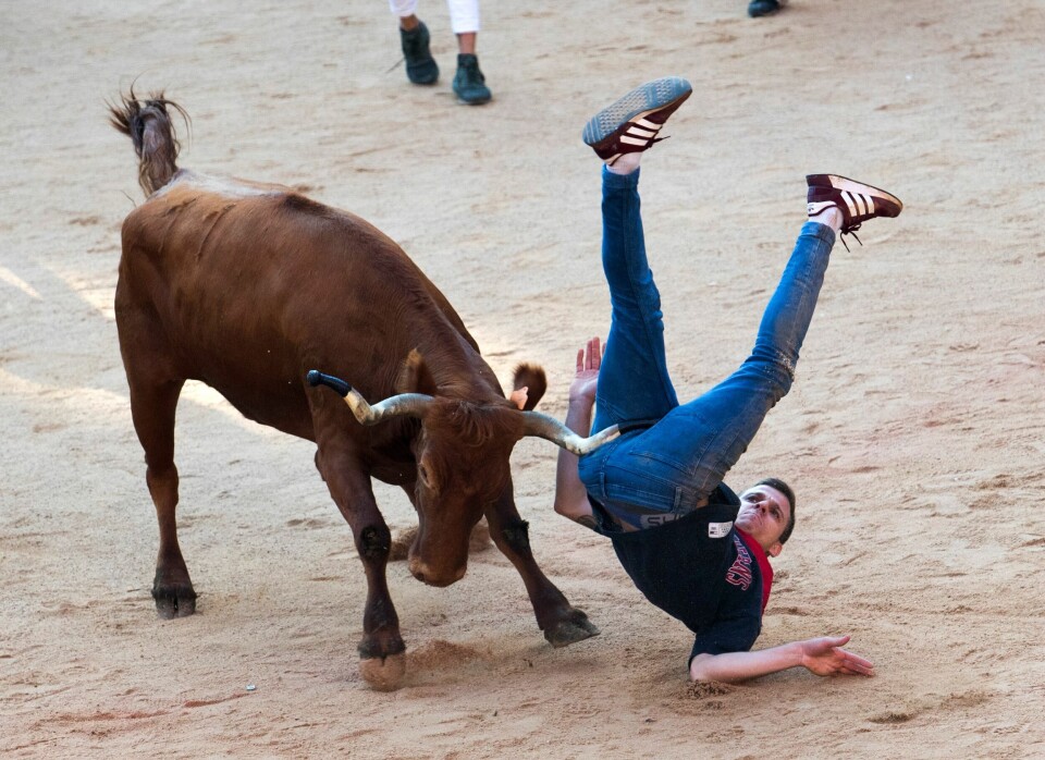 Vanvittige fotos: Tyreløb i Pamplona