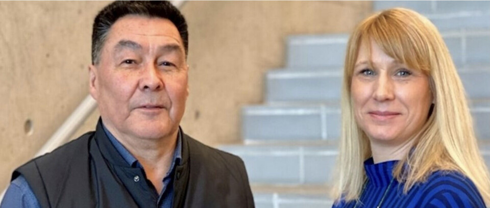 Historiker og direktør for Grønlands Nationalmuseum og Arkiv, Daniel Thorleifsen, og Tenna Jensen, centerleder ved Ilisimatusarfik er udpeget som ledelsen for udredningen om Grønlands og Danmarks fælles historie.