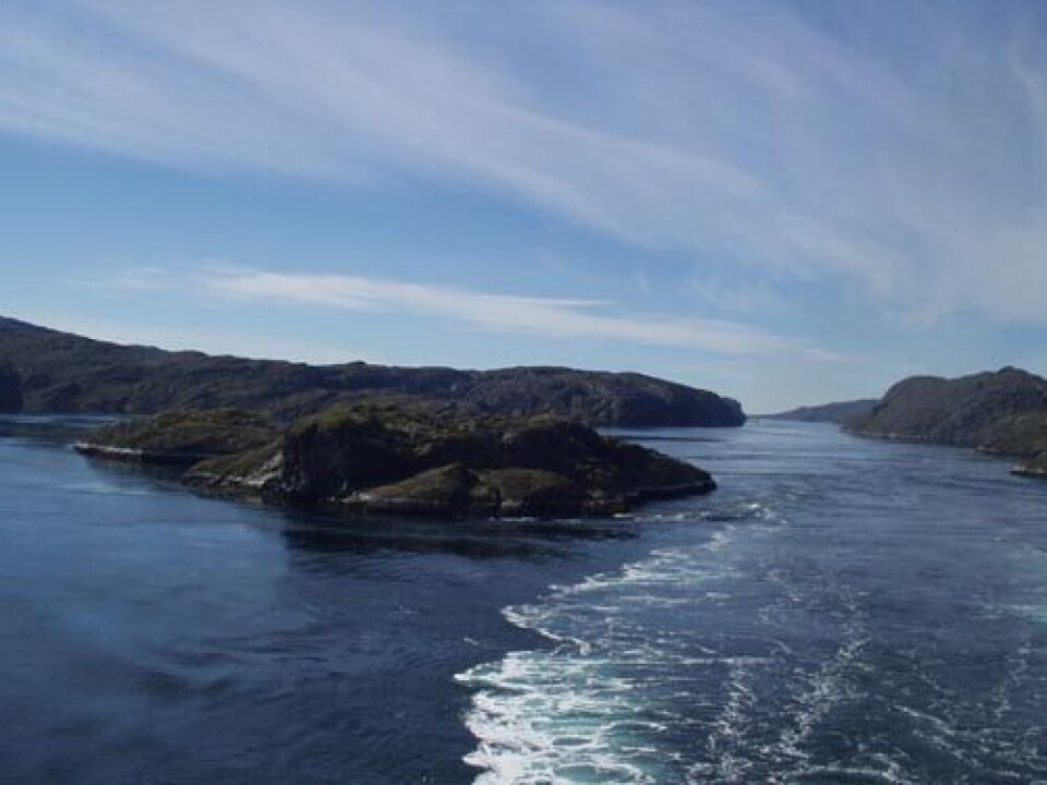 Platinefterforskningen ved Fiskefjorden ved Nuuk styrkes i år