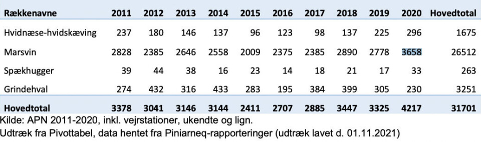 Naalakkersuisut vil begrænse fangst af marsvin