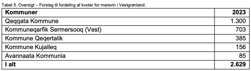 Naalakkersuisut vil begrænse fangst af marsvin
