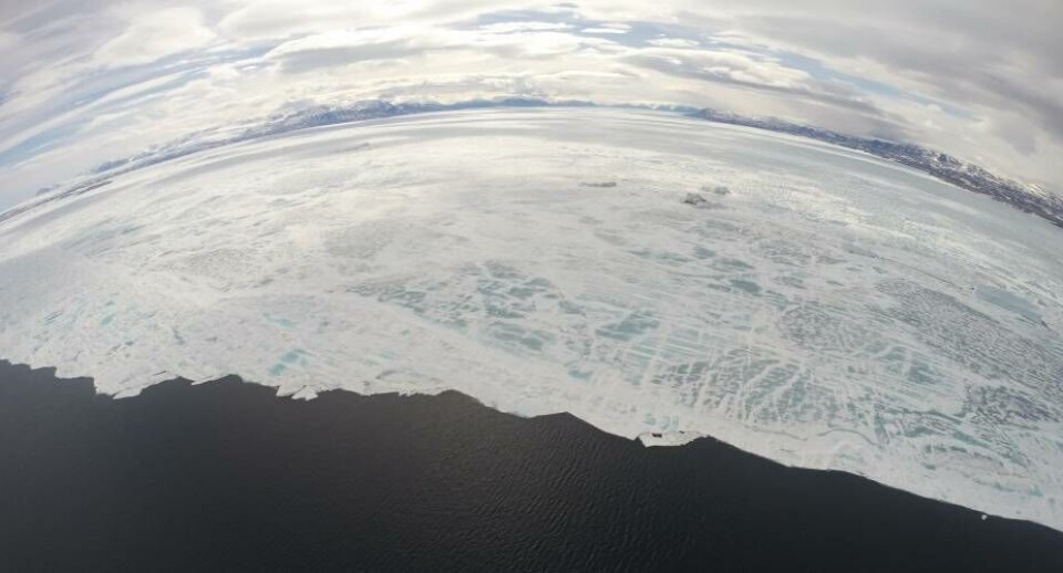 Foto af Last Ice Area