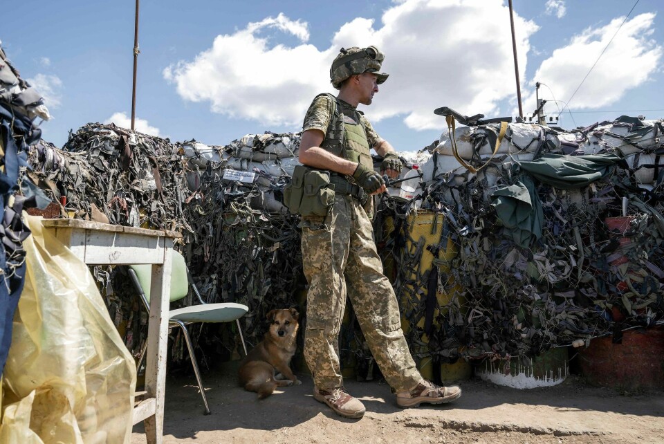 En ukrainsk soldat, ledsaget af en hund, holder position på frontlinjen i Mykolaiv-regionen den 23. juli 2022, midt i den russiske invasion af Ukraine.