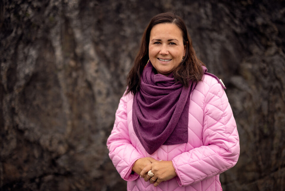 Forhandlinger skal sikre Grønland mere central plads i Nordisk Råd