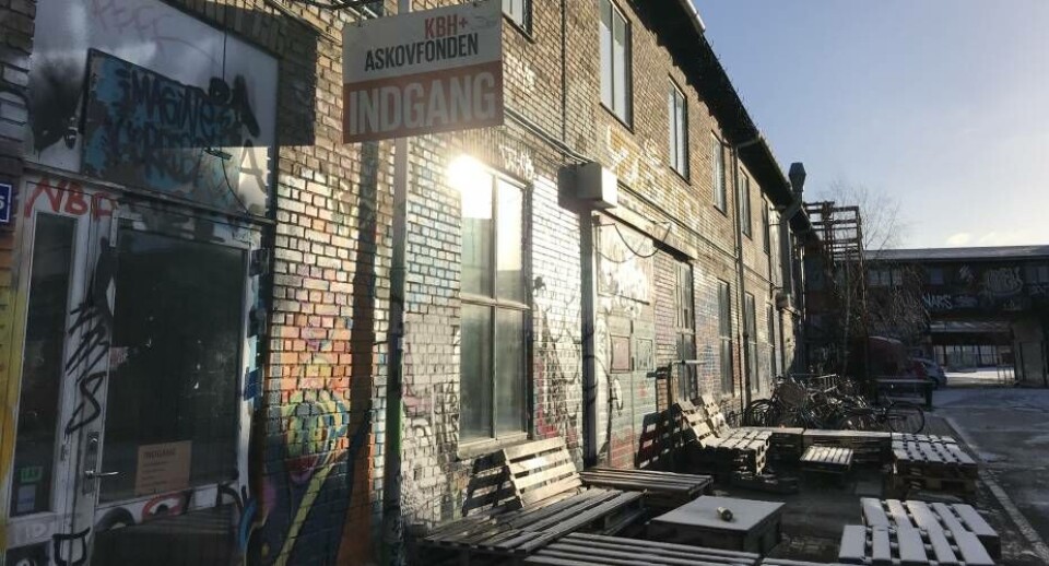 Café Ilik åbner på adressen Emblasgade 175 på på grænsen mellem Østerbro og Nørrebro i København