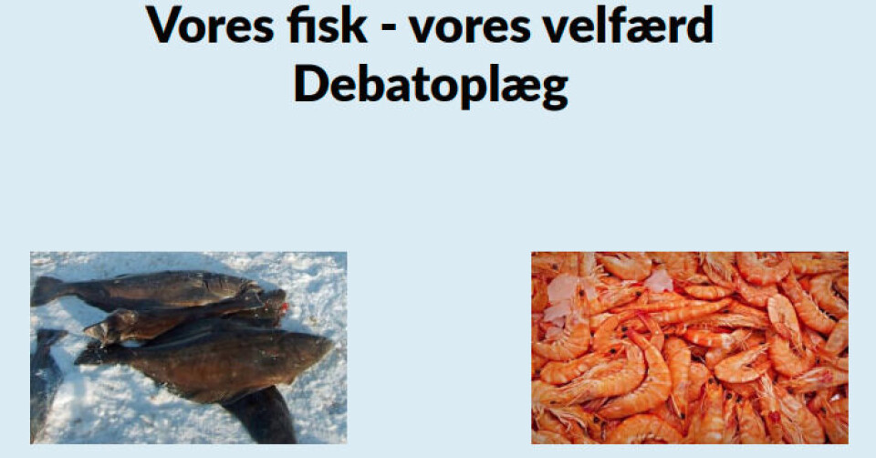 Fiskeri: Nu kan du læse debat-oplægget
