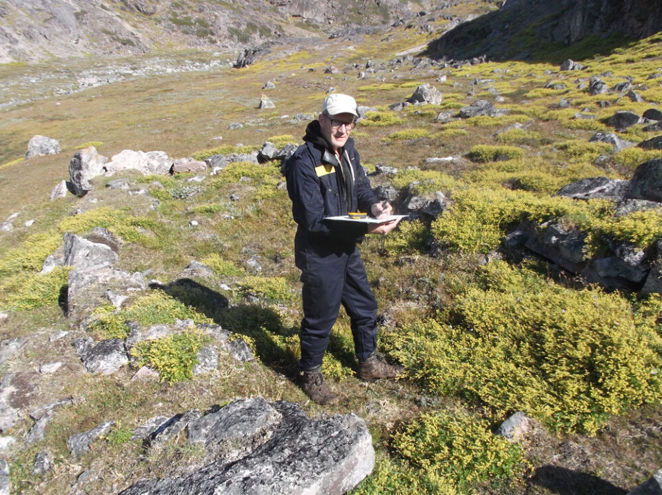 Arkivbillede af Ole Guldager fra i gang med en opmåling ved en nordboruin Narsarsuaq Museum Ole Guldager, Narsarsuaq Museum, nordboruin, opmåling