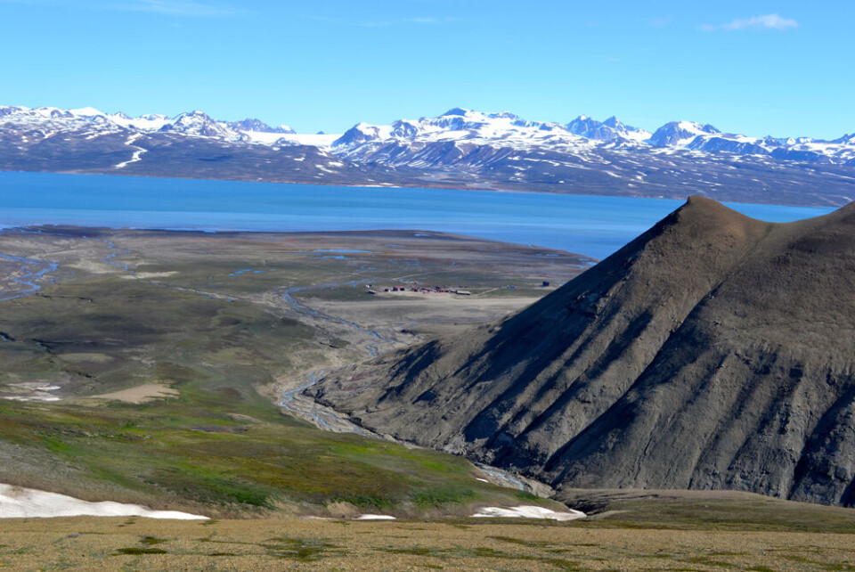 Nerlerit Inaat, Constabel Pynt: Der var også olieefterforskning på Jameson Land i 1980'erne. Dengang blev der bygget en minelandsby og en landingsbane, som i dag betjener Ittoqqortoormiit under navnet Nerlerit Inaat. Nerlerit Inaat, Constabel Pynt, lufthavn