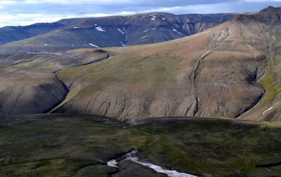 Råstofselskab opskriver forventninger: Potentielt 13 mia. tønder olie i Jameson Land