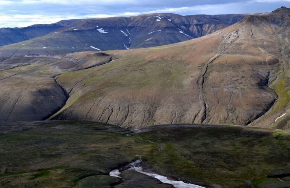 Råstofselskab opskriver forventninger: Potentielt 13 mia. tønder olie i Jameson Land