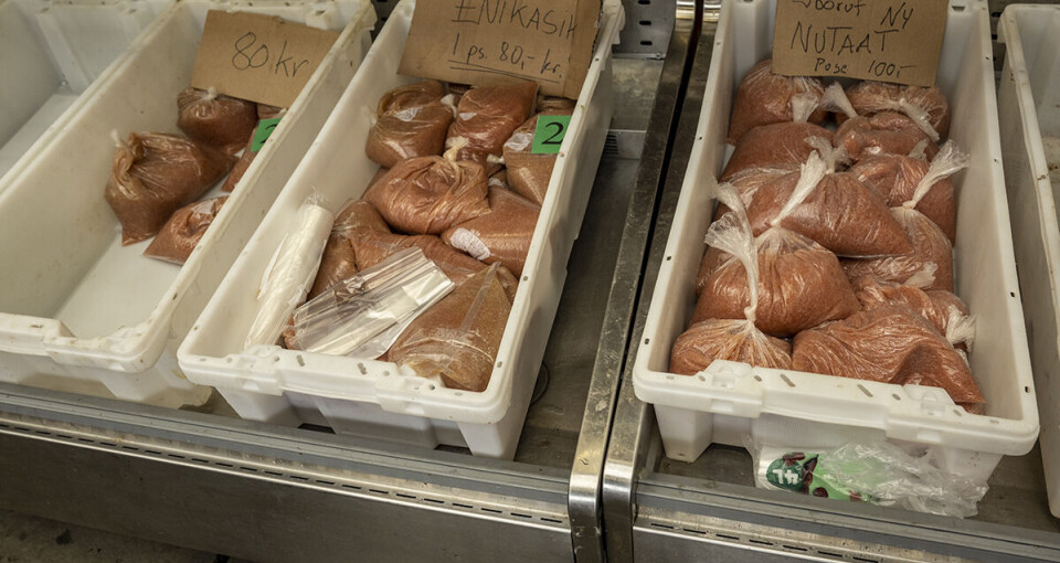 Allerede tirsdag kunne man handle stenbiderrogn på brættet efter fiskeriet har ventet utålmodigt på at komme i gang i flere uger.