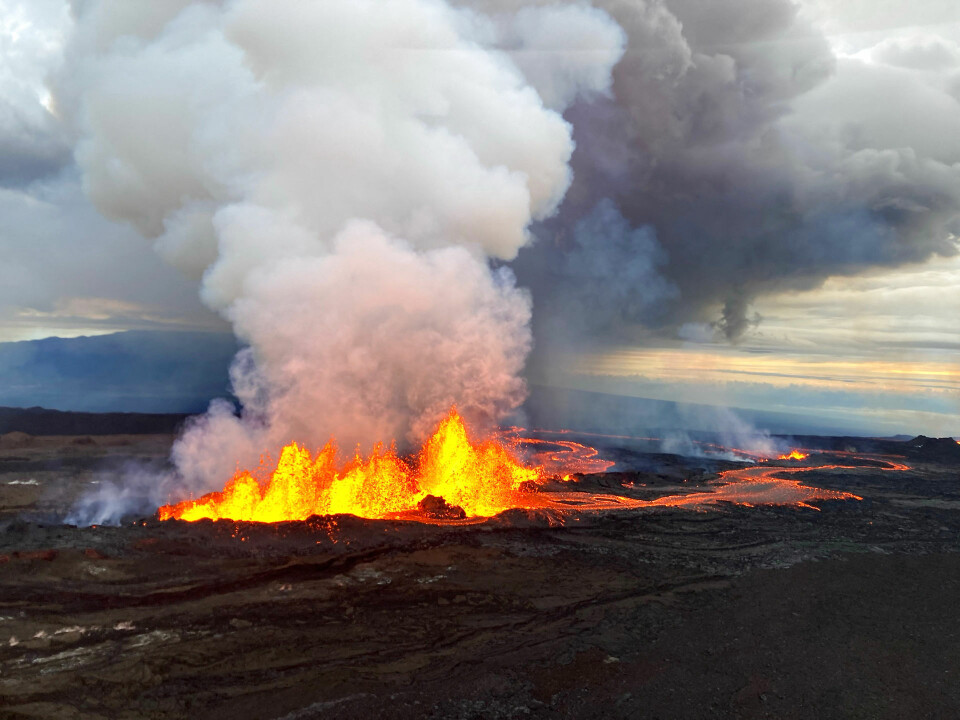 På billedet kan man se lava, som bliver skudt op i luften af vulkanen Mauna Loa på Hawaii.