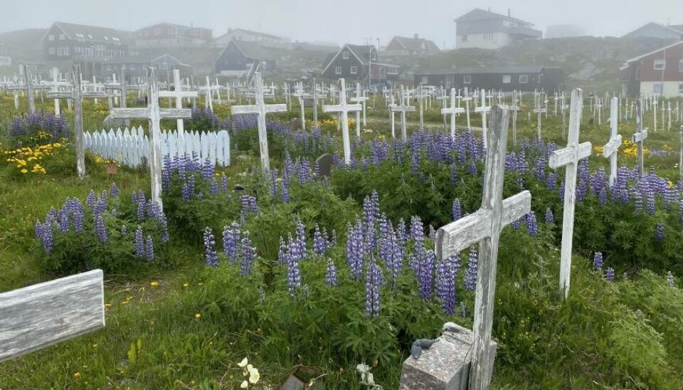 Bekymrende Nyhed: Grønlandsk Selvstyre Dækker Nu Hjemtransport af Afdøde - Hvad Betyder Det for Familier?