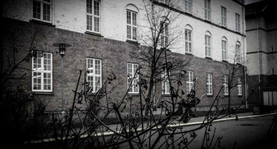 Sundholm: Den trygge fælde