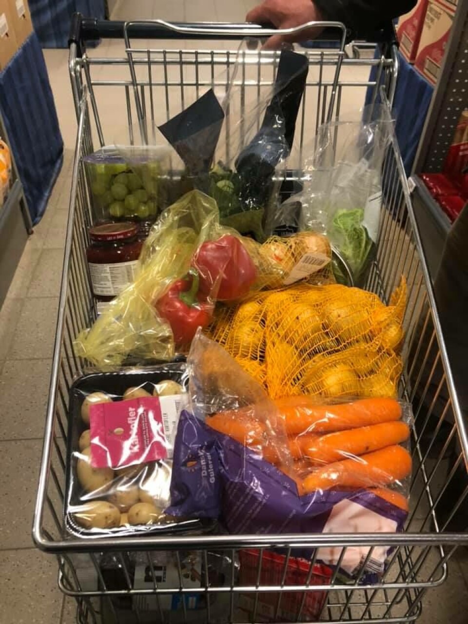 indkøbsvognen blev fyldt godt op med frugt og grønt, og aftensmaden mandag stod på frugtsalat.