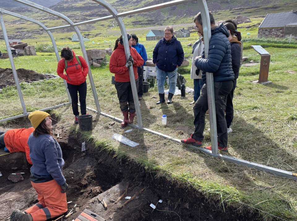 Arkæologer og Igaliku borgere i dialog i udgravningen på kirkegården ved bispesædet i Gardar august 2021.
