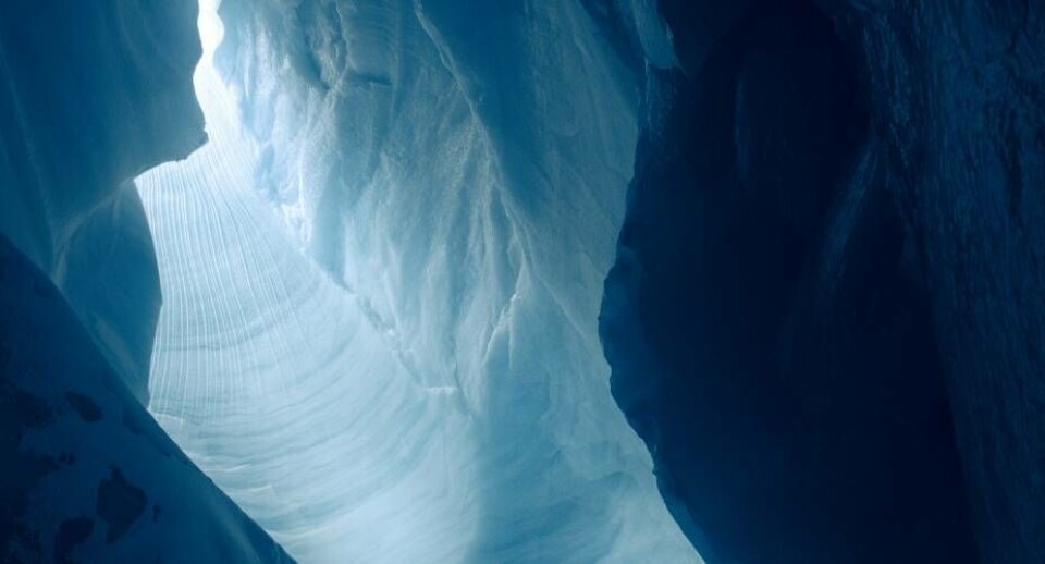 Ekspeditionsfilmen '' får verdenspremiere som åbningsfilm i CPH:DOX til marts i København. Into the Ice
