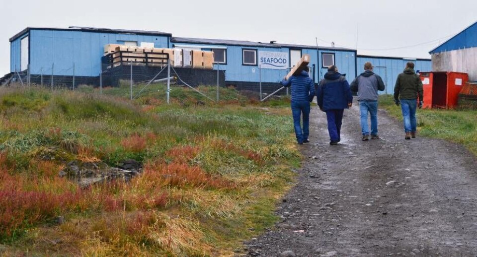 Royal Greenland har gjort flere forsøg på at rette op på indhandlingsproblemerne på grund af begrænset produktionskapacitet, som dog har fejlet. Nu er det planlagte fabriksbyggeri også sat på standby