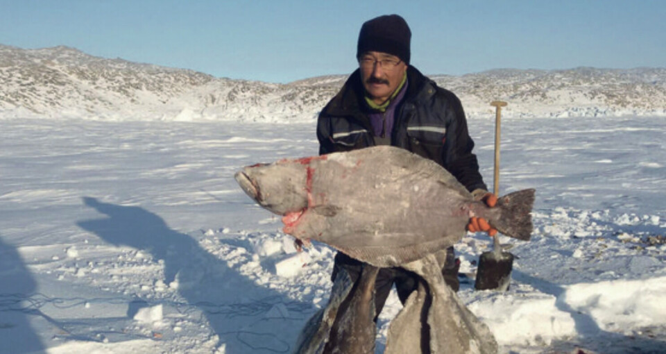 – Arctic Fish Greenlands ledelse har lige fra starten været visionær med hensyn fiskerierhvervets udvikling i Upernaviks to nordligste bygder. Hvis vores nuværende målsætninger bliver realiseret, erder udsigt til markant forbedring af erhvervsforholdene i Kullorsuaq, siger Timotheus Petersen.