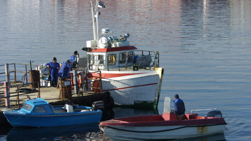 En fælles nordatlantisk fiskeflåde. Dette tænkte - og måske utopiske - scenarie har den færøske økonom Hans Ellefsen undersøgt og beskrevet i en rapport. Foto: Leiff Josefsen