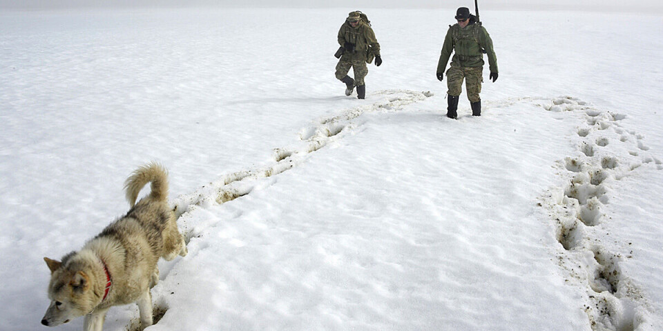 Forsvaret bruger både hunde og droner, når man arbejder i Nordøstgrønland.