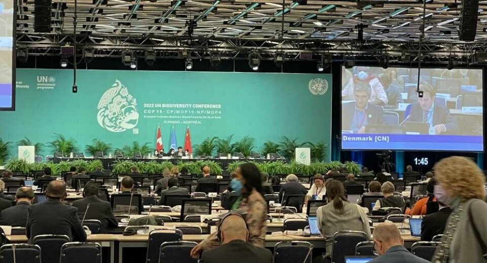 Kalistat Lund er optimistisk efter COP15