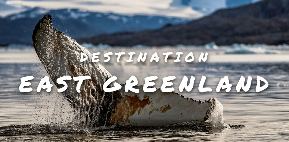 Udsnit af s hjemmeside Destination East Greenland