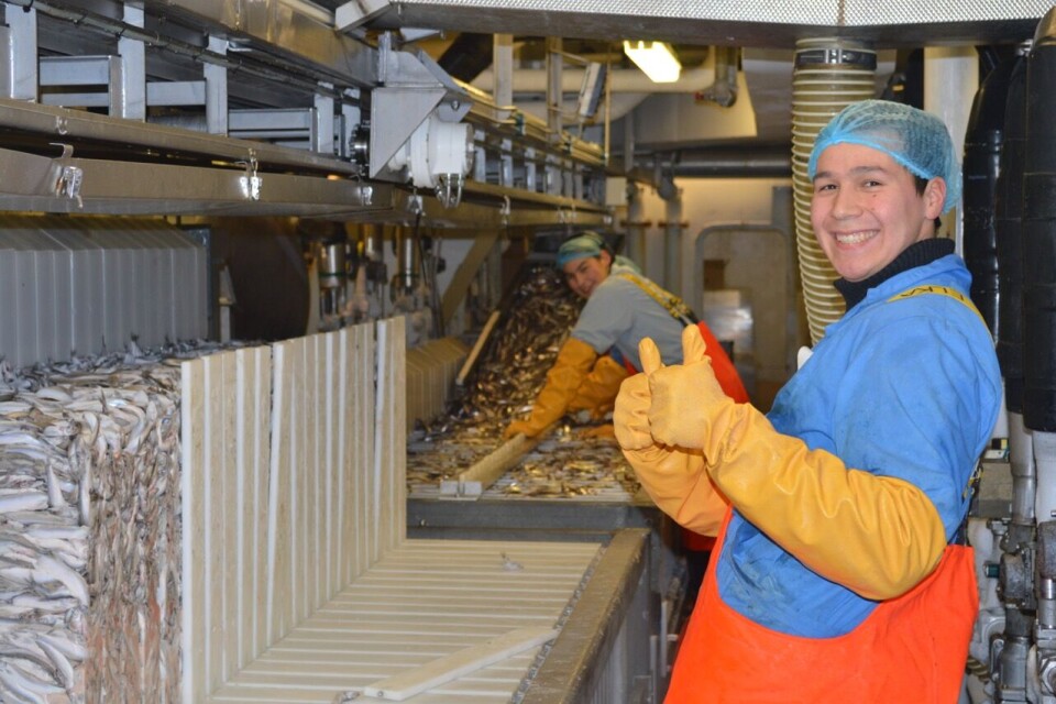 Aqqaluk Chistensen (forrest) Minik Dahl fra Tasiilaq er i gang med pakning af lodder om bord på Polar Amaroq. Aqqaluk er pt under uddannelse i . Polar Seafood