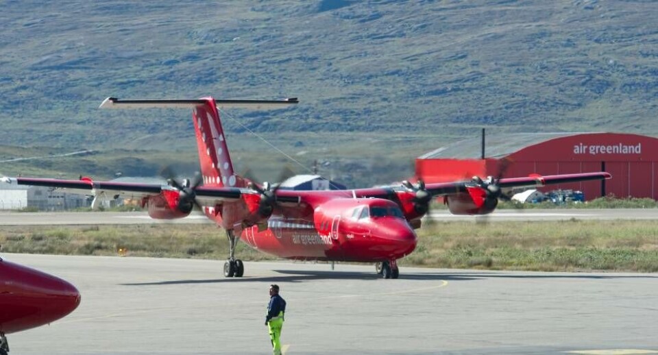 Nipiki fotograferet i Kangerlussuaq i 2010